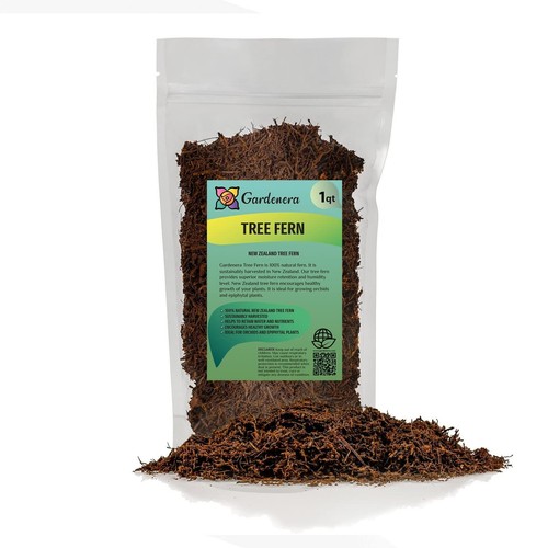 Premium new zealand tree fern - premium,